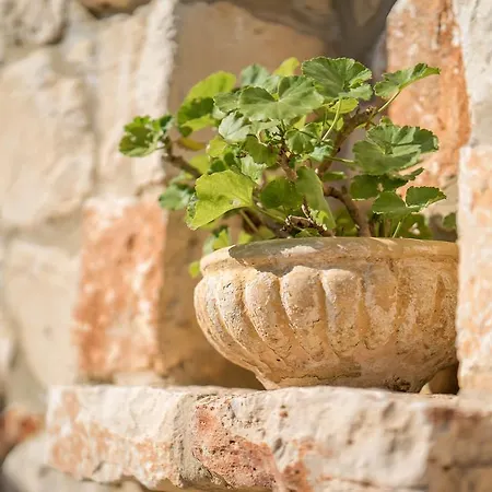 Pensiune agroturistice Myrties Stone - Ta Petrina *